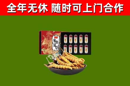 金湾区烟酒回收冬虫夏草礼盒.jpg